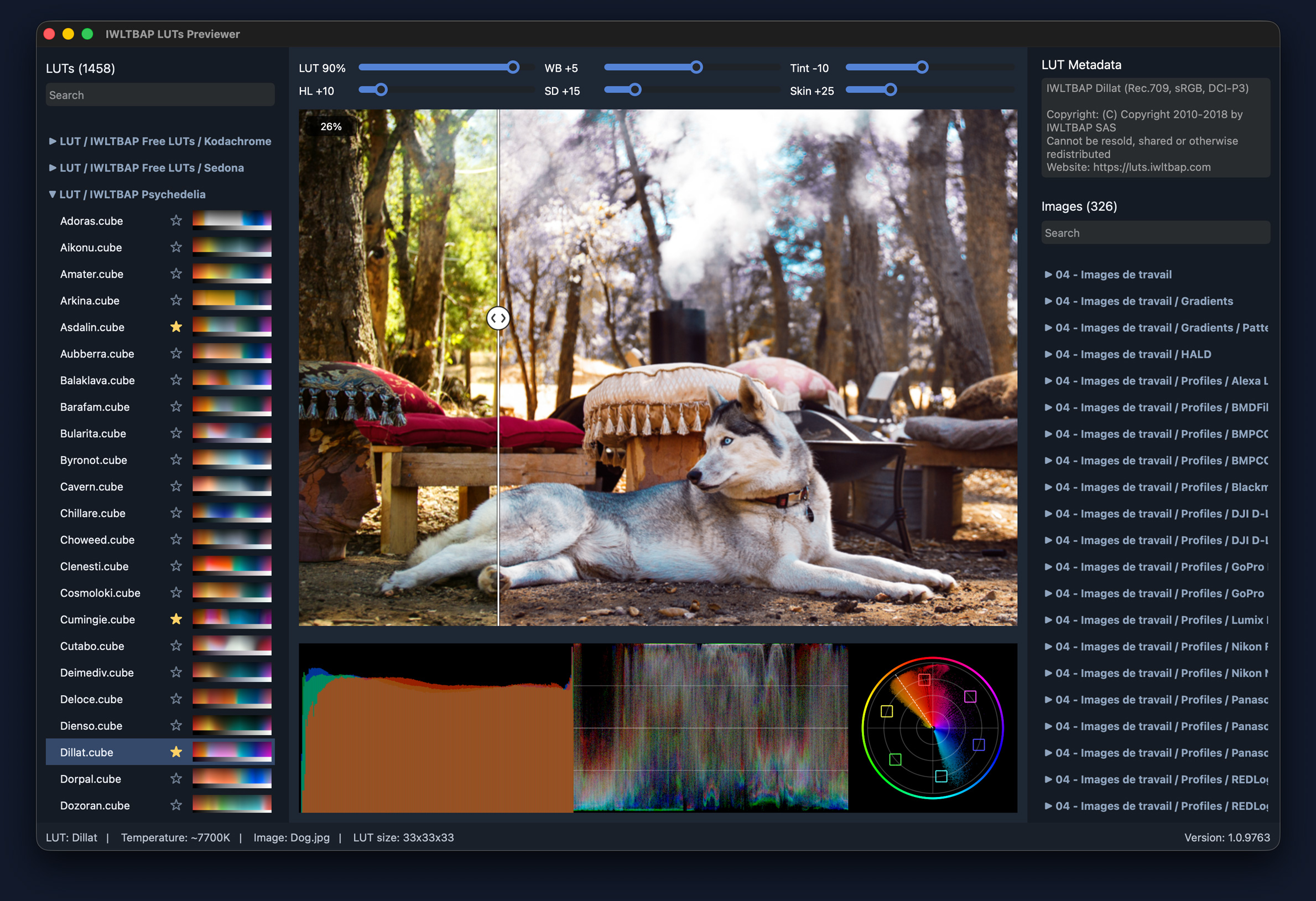 Screenshot (macOS or Windows)